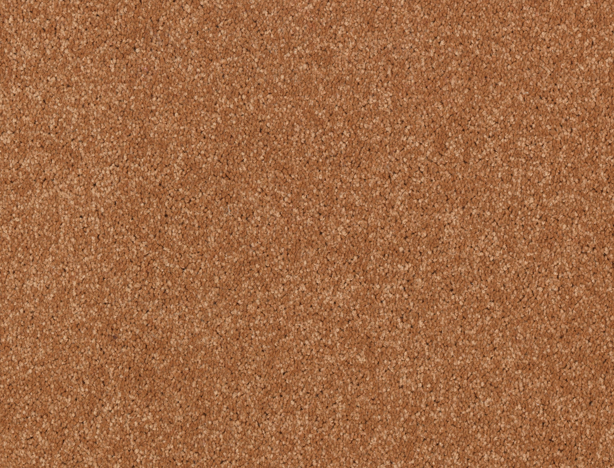 Equinox Tones prosjektteppe
