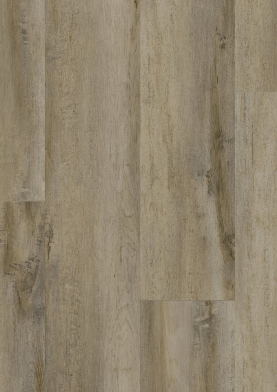 Madina Taupe